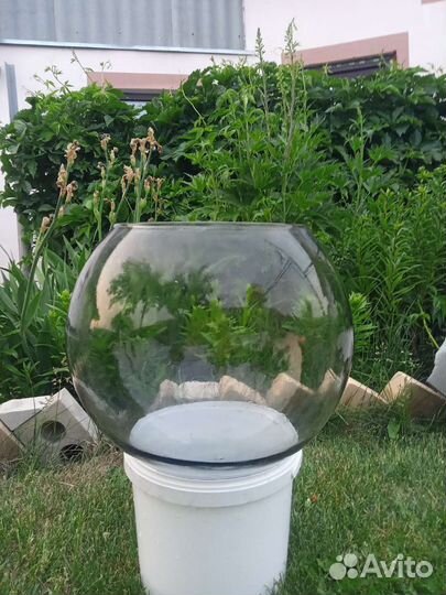 Аквариум/Флорариум