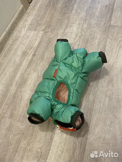 Одежда для собак