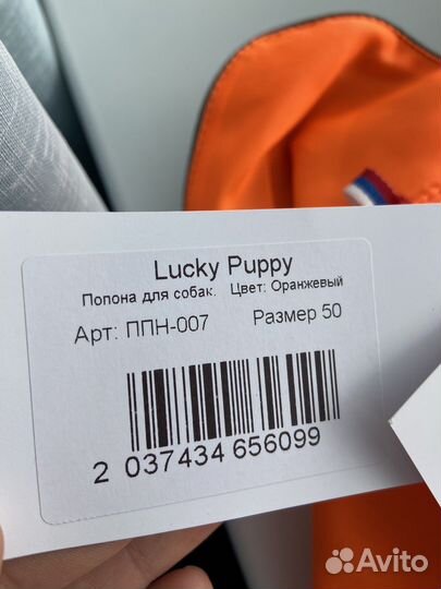 Попона для собак