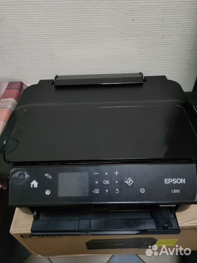 Принтер струйный epson 810