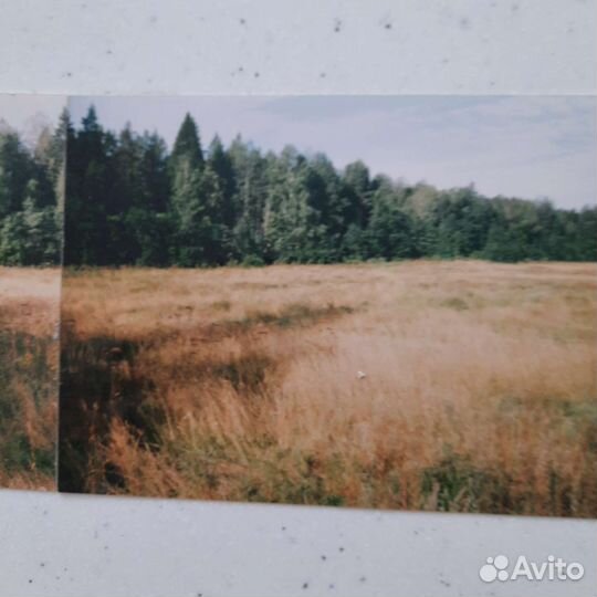 Трава на сено