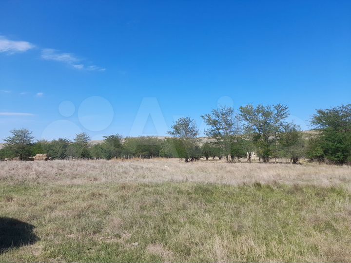 Участок 25 сот. (ИЖС)