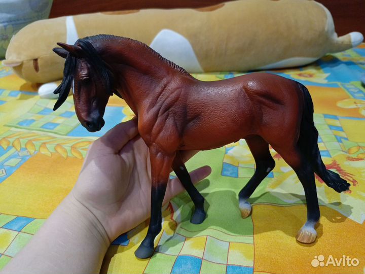 Лошади collecta