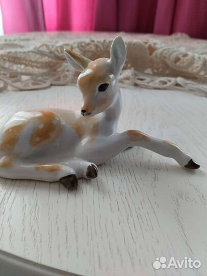 Ракетка для большого тенниса