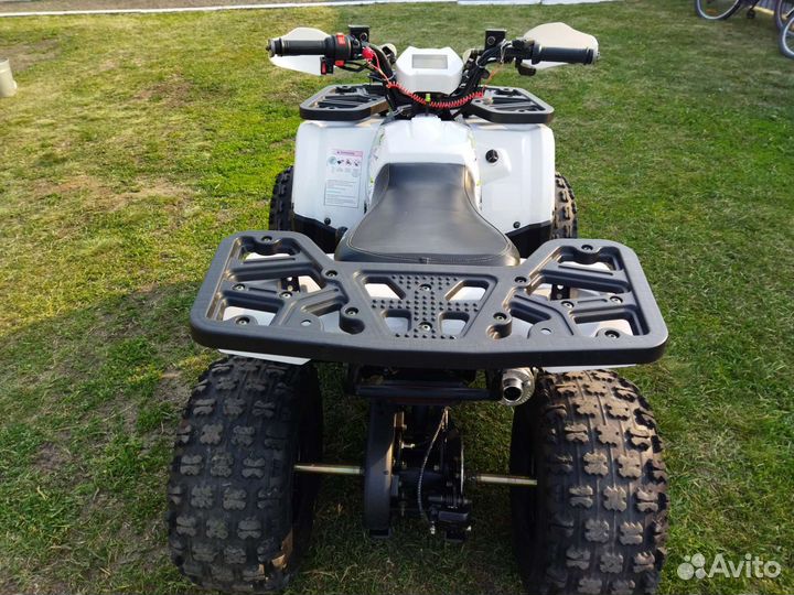 Motolenb wild 125
