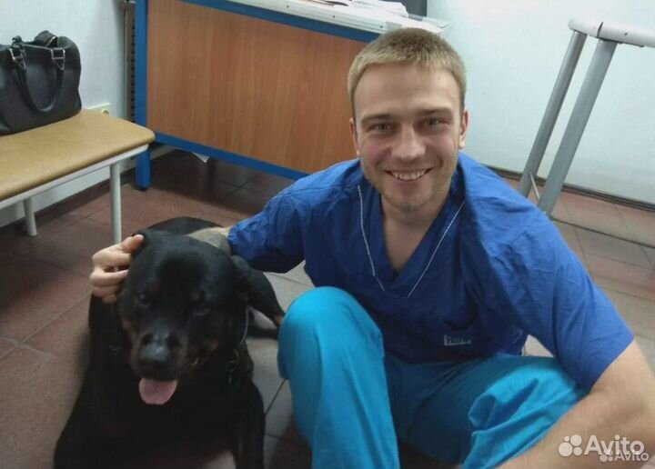 Ветеринарный врач с выездом