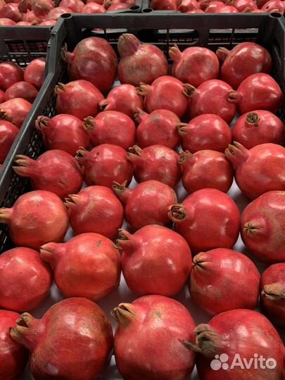 Овощи и фрукты оптом в розницу