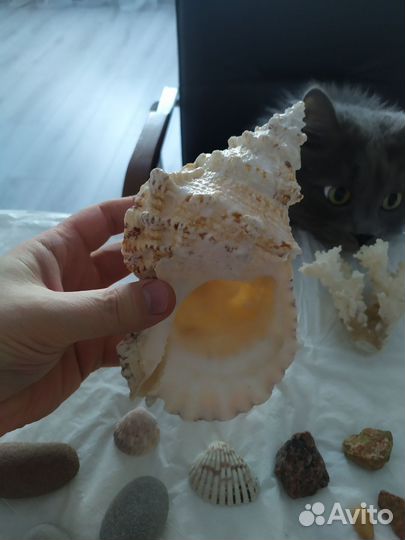 Декор для аквариума