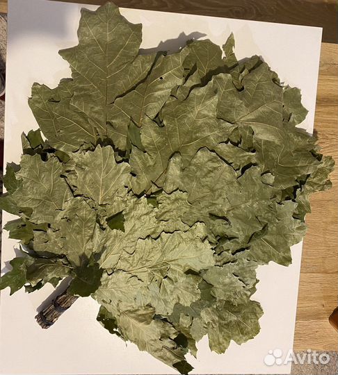 Веники для бани