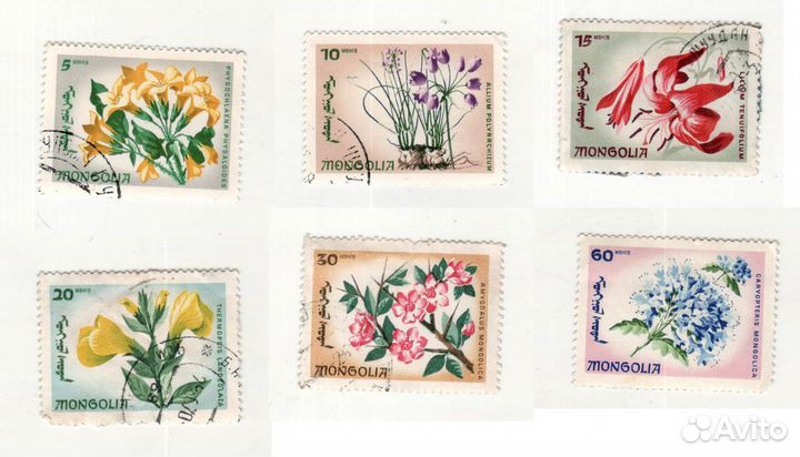 Марки Монголия 1966 1963 1959 1962 1961
