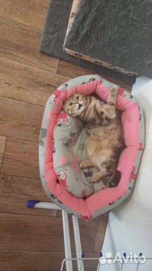 Лежанка для кошек