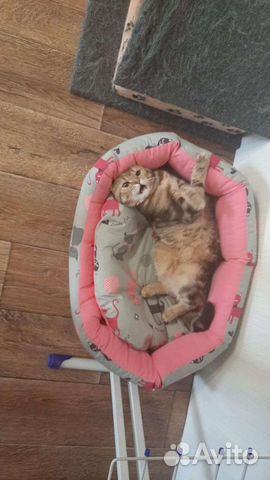 Лежанка для кошек