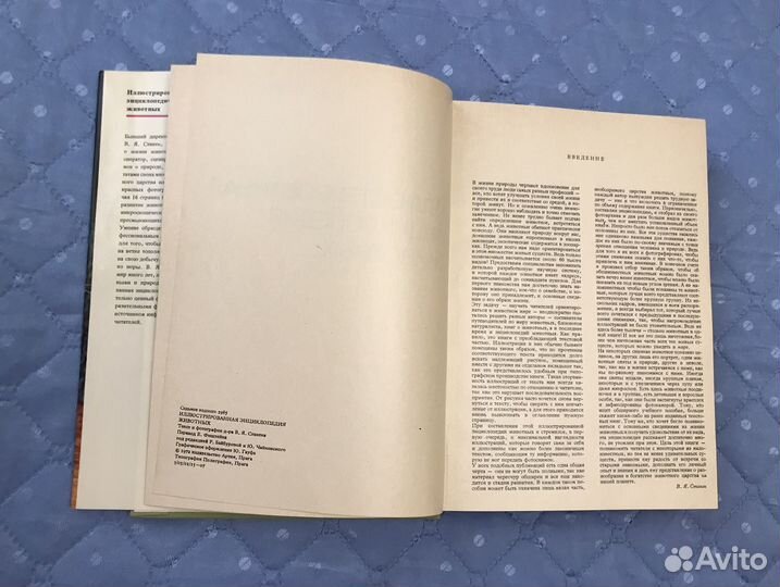 Энциклопедия В Станек