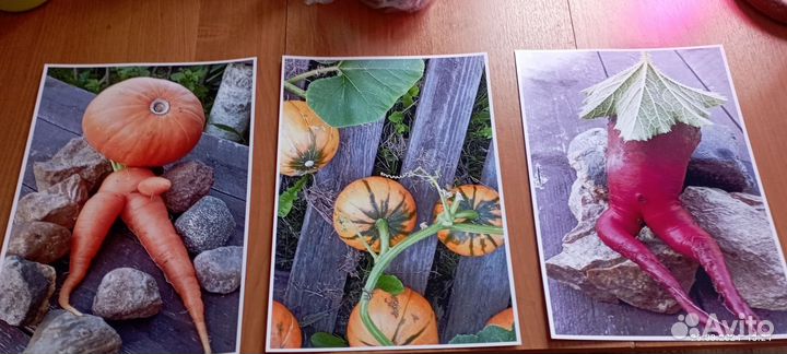Фотографии без рамки