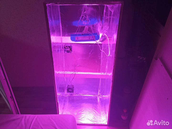 Готовый гроубокс