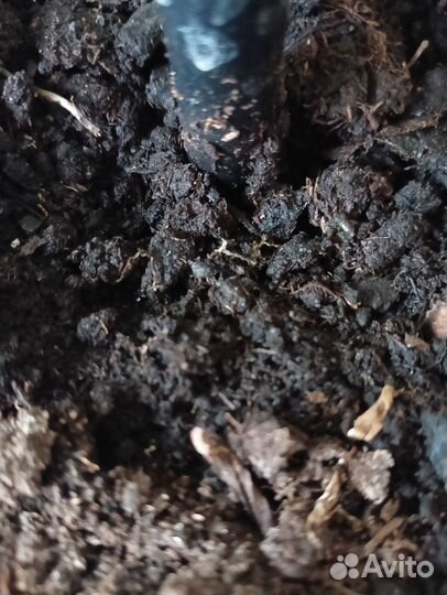 Грунт плодородная земля