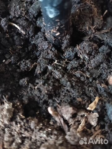 Грунт плодородная земля