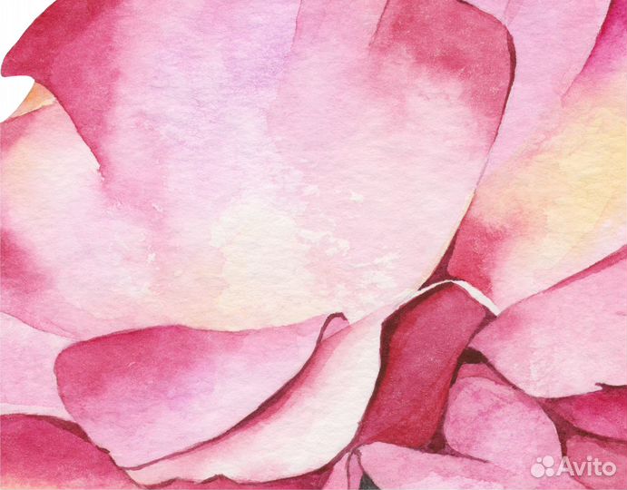 Картина розовая роза акварелью 25х20см