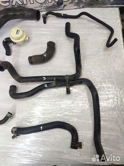 Шланги Nissan Primera P10