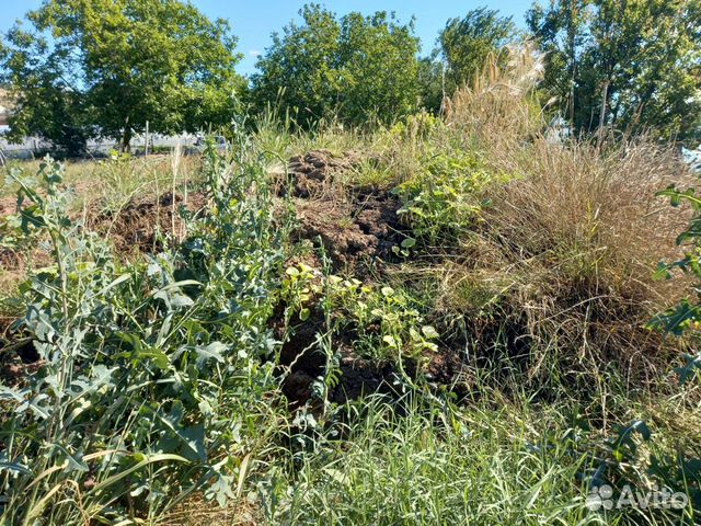 Продам навоз