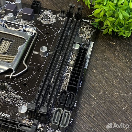 Материнская плата asrock h81-m-dgs lga1150