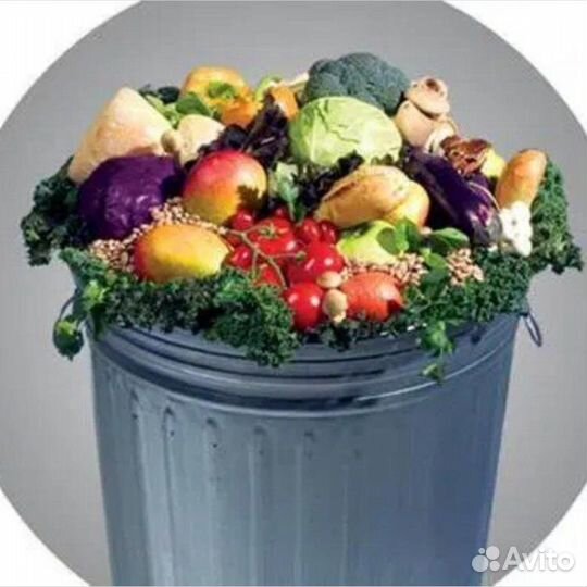 Пищевые отходы