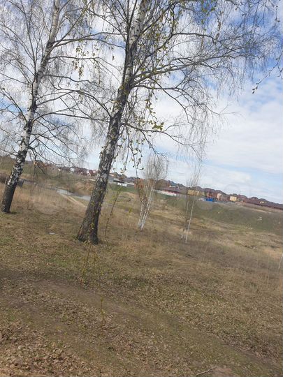 Участок 6 сот. (СНТ, ДНП)
