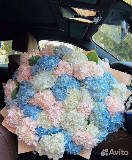 Букет цветов гортензия, гортензия цветы букет