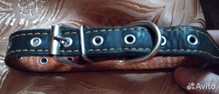 Ошейник для собак натуральная кожа