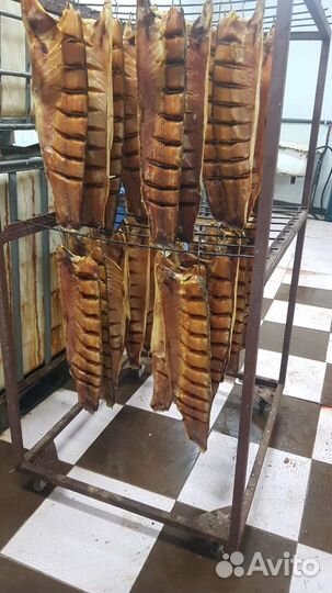 Рыба холодного копчения