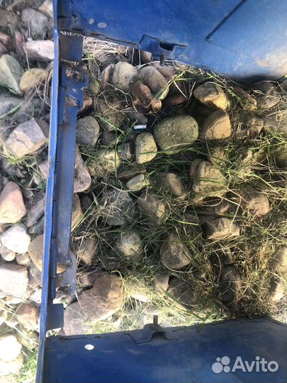 Трактор мтз (Беларус) 82, 2000