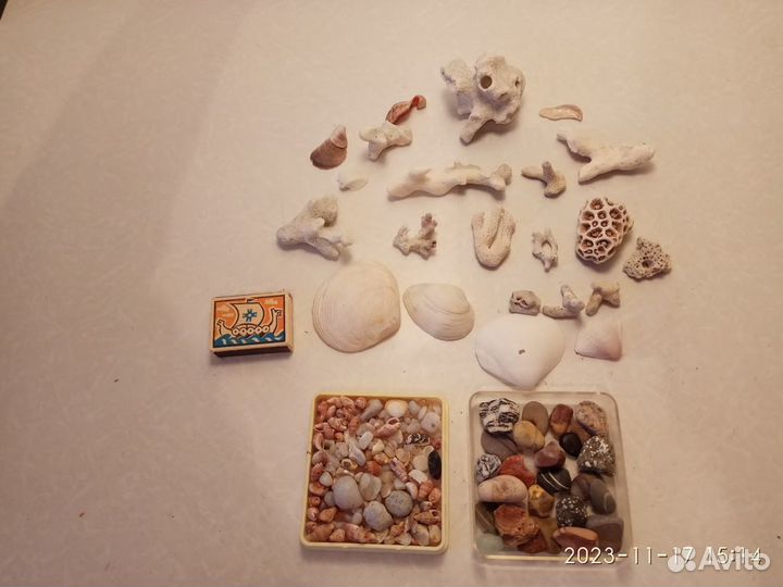 Коллекция ракушек, камней из дальних морей