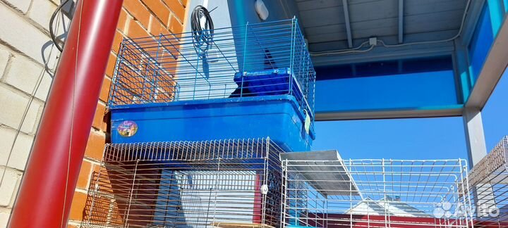 Клетка для грызунов большая