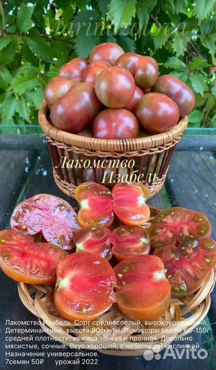 Семена томатных гномов. Dwarf Tomato Project