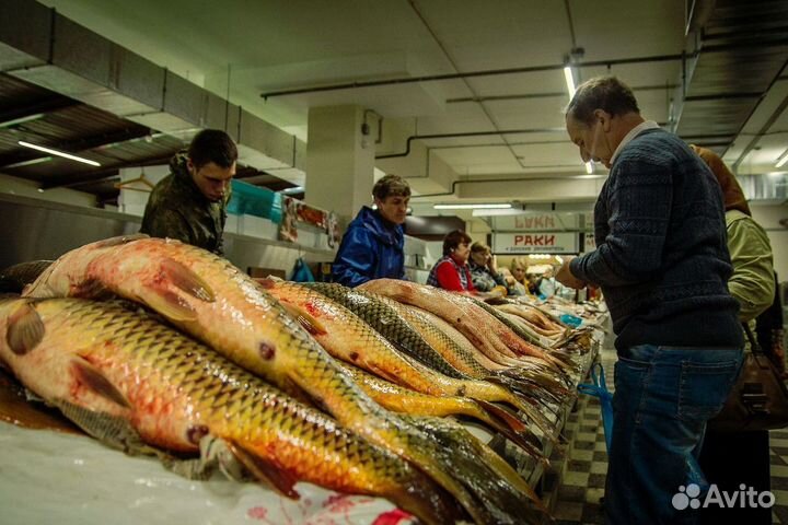 Продаём готовый бизнес Пир Моря