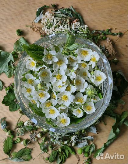 Иван-чай (Кипрей) ферментированный