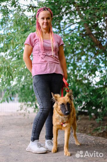 Манго ищет дом