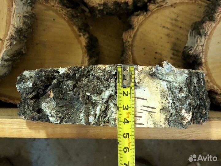 Слэб дерева и спилы березы