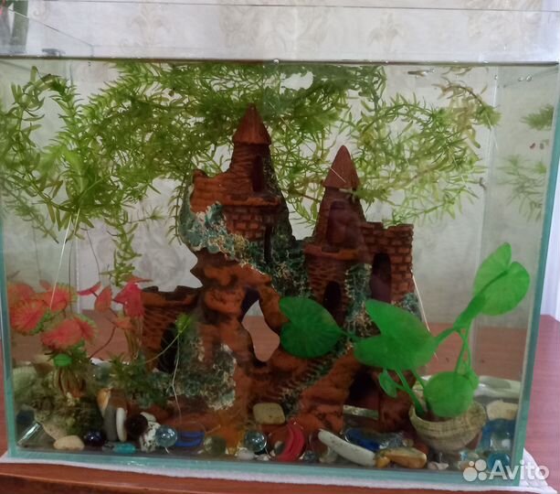 Аквариум и принадлежности к нему