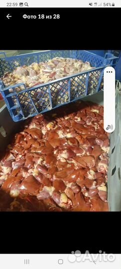 Куры бройлеры тушки