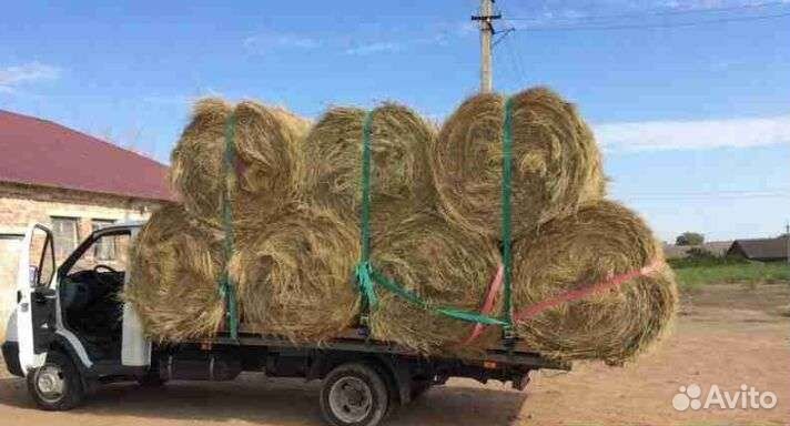Сено доставка 2023 рулоны кипы