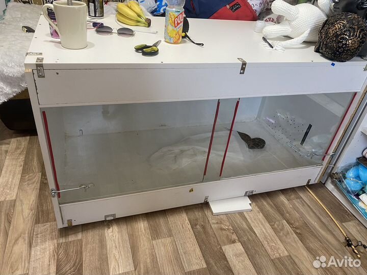 Террариум 120*60*60