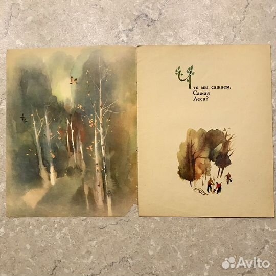 Паздник леса, Самуил Маршак, 1987 год