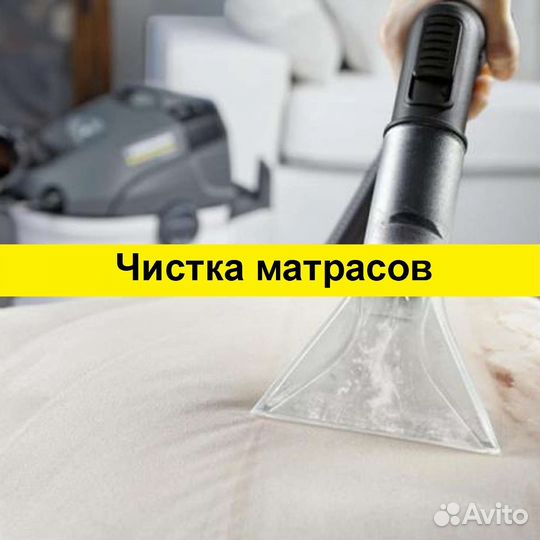 Аренда/прокат моющего пылесоса Karcher