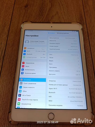 iPad mini 3 cellular