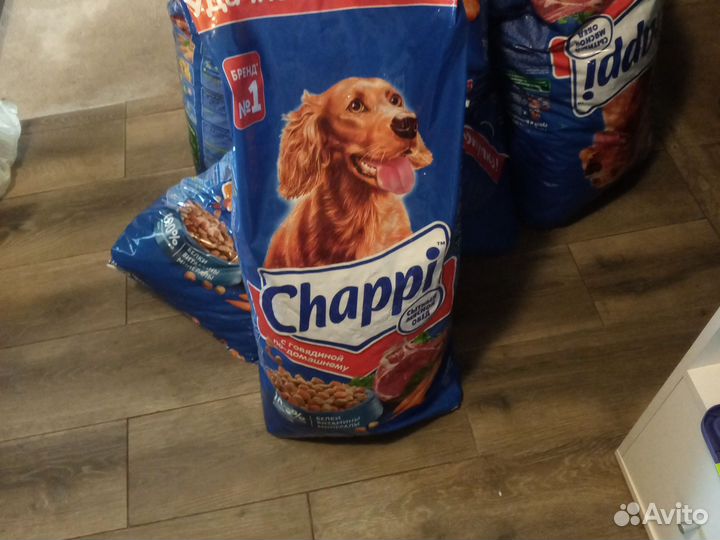 Корм для собак