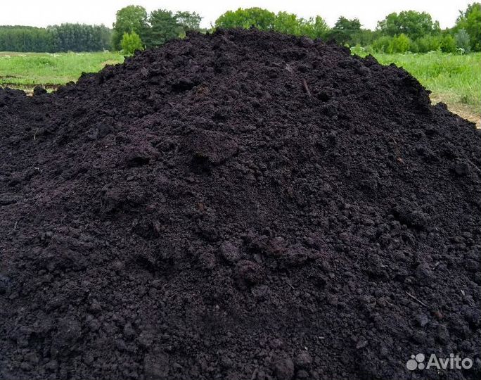 Чернозем