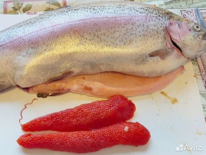 Свежая форель из Мурманска