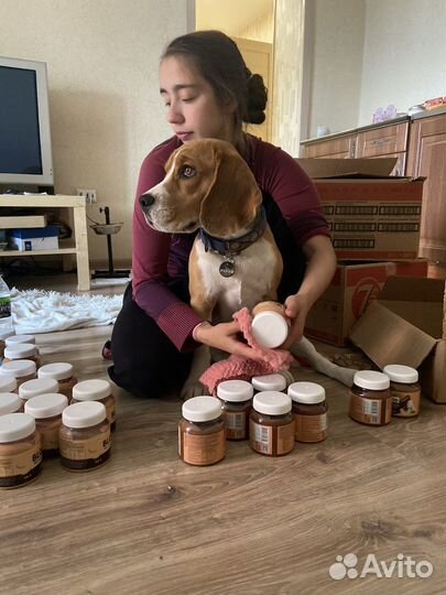 Передержка собак от 300 и кошек 250