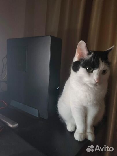 Игровой компьютер пк / i5 9600k / RTX 2080 / 16 GB